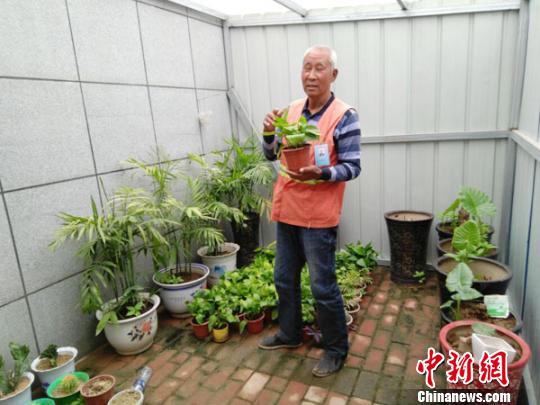 图为郭子斌老人自掏腰包制作的简易温室房,冬季温度过低时,他会将部分对温度要求高的花搬到这里。 王秋兰 摄 图为郭子斌老人自掏腰包制作的简易温室房,冬季温度过低时,他会将部分对温度要求高的花搬到这里。 王秋兰 摄