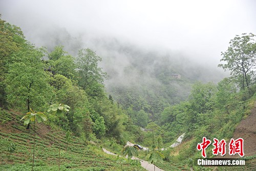 雨后的板厂村。记者 宋宇晟 摄 雨后的板厂村。记者 宋宇晟 摄