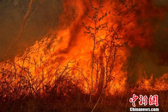 图为内蒙古陈巴尔虎旗森林火灾现场。 毛亚团 摄 图为内蒙古陈巴尔虎旗森林火灾现场。 毛亚团 摄