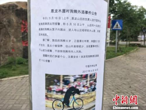 宁国市林业局发布的公告 赵强 摄 宁国市林业局发布的公告 赵强 摄