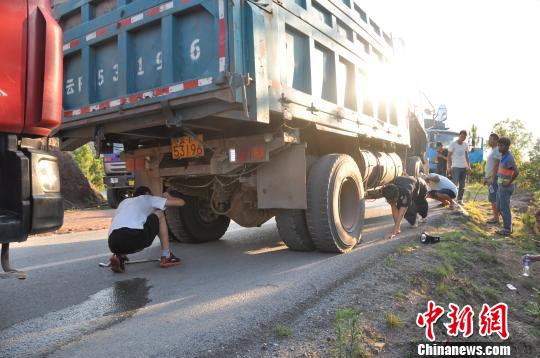 图为抓捕眼镜王蛇。 易经国 摄 图为抓捕眼镜王蛇。 易经国 摄