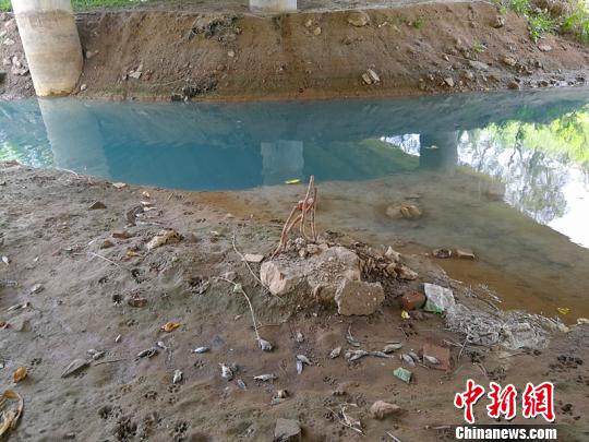 广宗县合义渠内河水呈深蓝,河水散发着刺鼻的味道,岸边漂浮着大量死鱼。 张鹏翔 摄 广宗县合义渠内河水呈深蓝,河水散发着刺鼻的味道,岸边漂浮着大量死鱼。 张鹏翔 摄