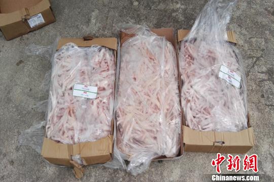 图为被查获的冰冻鸡爪。 方正强 摄 图为被查获的冰冻鸡爪。 方正强 摄
