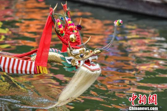盐步老龙为明朝宣德七年打造,船体材料为产自婆罗乃(文莱)的坤甸木,全长36.8米(未含龙头、龙尾),有座位68个,一度是珠三角历史上最快的五条龙船之一。 陈骥旻 摄 盐步老龙为明朝宣德七年打造,船体材料为产自婆罗乃(文莱)的坤甸木,全长36.8米(未含龙头、龙尾),有座位68个,一度是珠三角历史上最快的五条龙船之一。 陈骥旻 摄