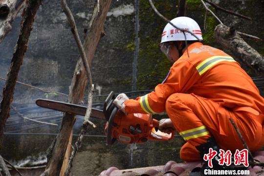 图为消防官兵在屋顶上锯树排险。 黄华 摄 图为消防官兵在屋顶上锯树排险。 黄华 摄