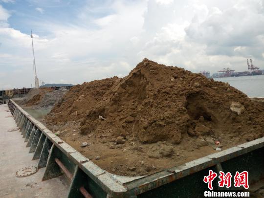 广州海关隶属大铲海关查获走私进口土壤案 关悦 摄 广州海关隶属大铲海关查获走私进口土壤案 关悦 摄