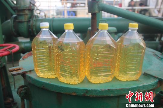 图为:查获的成品油。 边防支队供图 摄 图为:查获的成品油。 边防支队供图 摄
