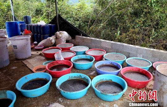 图为抓捕现场。 罗开革 摄 图为抓捕现场。 罗开革 摄