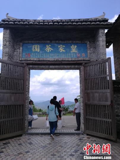 江西省瑞金市日东乡的观音岽地处赣江源头,武夷山脉,曾是明清时期的皇家茶园。 李妮 摄 江西省瑞金市日东乡的观音岽地处赣江源头,武夷山脉,曾是明清时期的皇家茶园。 李妮 摄