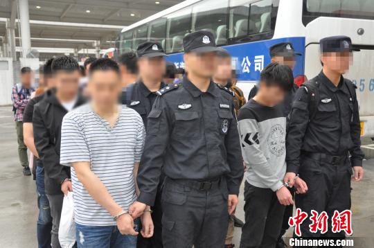 警方将18名诈骗嫌疑人从重庆押回广州。广州警方供图 警方将18名诈骗嫌疑人从重庆押回广州。广州警方供图
