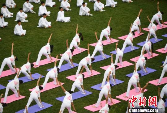 图为来自国际太极学院、中印瑜伽学院的师生同练瑜伽和太极 李进红 摄 图为来自国际太极学院、中印瑜伽学院的师生同练瑜伽和太极 李进红 摄