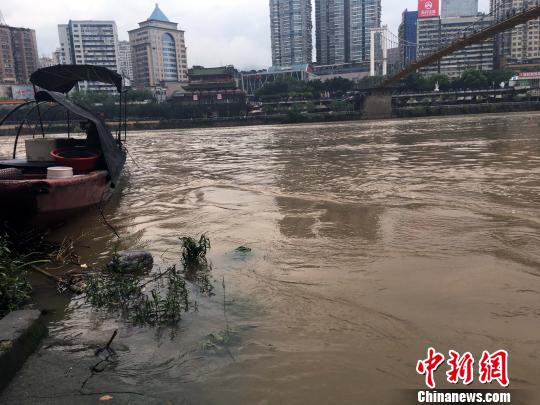 22日,闽江上游延平支流江面水位上涨。 张丽君 摄 22日,闽江上游延平支流江面水位上涨。 张丽君 摄