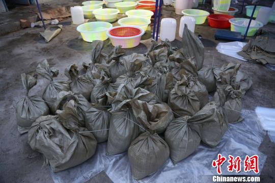 图为警方查获的毒品氯胺酮成品和半成品。警方供图 图为警方查获的毒品氯胺酮成品和半成品。警方供图