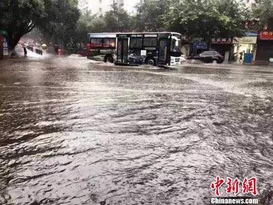 泸州城区开启看海模式。 钟欣 摄 泸州城区开启看海模式。 钟欣 摄