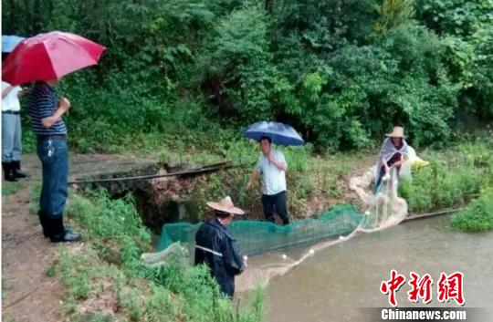 清湖镇镇村干部正在帮助水库承包养鱼户开沟泄洪,确保安全 徐泽标 摄 清湖镇镇村干部正在帮助水库承包养鱼户开沟泄洪,确保安全 徐泽标 摄