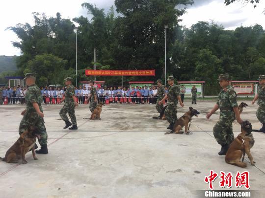 图为警犬与训导员战士服从科目。 崔汶 摄 图为警犬与训导员战士服从科目。 崔汶 摄