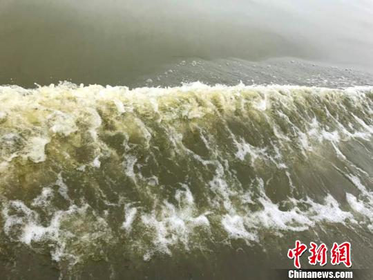 图为宁波渔山海域有毒赤潮 浙江省海洋与渔业局供图 摄 图为宁波渔山海域有毒赤潮 浙江省海洋与渔业局供图 摄