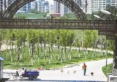 西直河石材市场等腾退后,建成的绿化带(来源:北京青年报 摄影:魏彤) 西直河石材市场等腾退后,建成的绿化带(来源:北京青年报 摄影:魏彤)