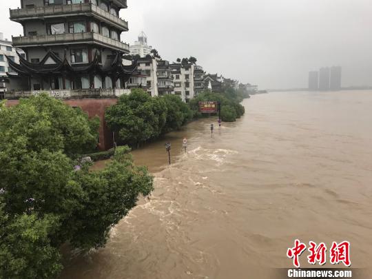 持续暴雨,兰江水位猛涨 奚金燕 摄 持续暴雨,兰江水位猛涨 奚金燕 摄