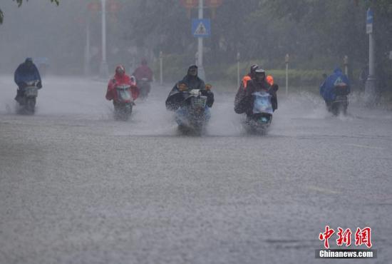 资料图。 王东明 摄