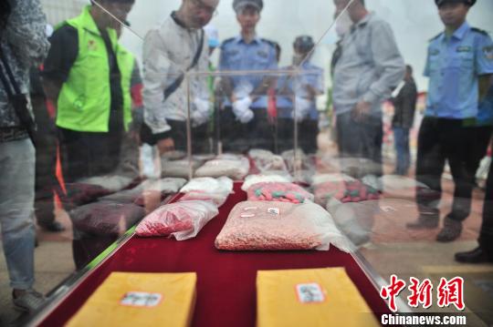 民众参观毒品实物。 刘冉阳 摄 民众参观毒品实物。 刘冉阳 摄