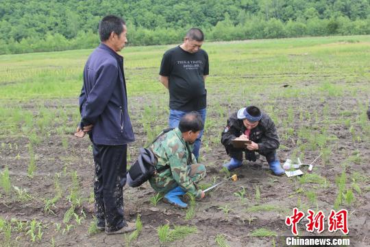 科研人员在现场对足迹、步距、掌垫测量辨认 孙继旭 摄 科研人员在现场对足迹、步距、掌垫测量辨认 孙继旭 摄