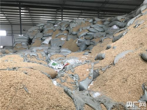 记者在万宝12号13号仓发现存在不同品类不同性质的混装现象 记者在万宝12号13号仓发现存在不同品类不同性质的混装现象