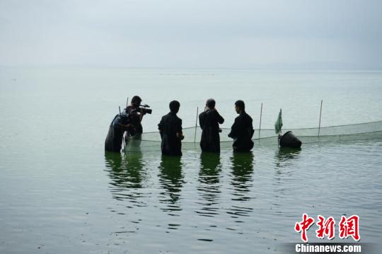 图为投放鱼苗。 钟欣 摄 图为投放鱼苗。 钟欣 摄