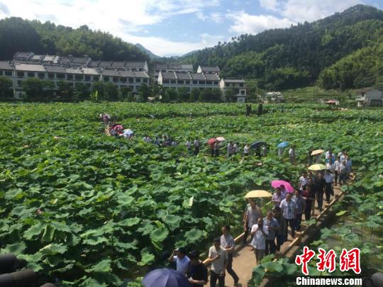 利山畲族村 莲都区宣传部提供 摄 利山畲族村 莲都区宣传部提供 摄